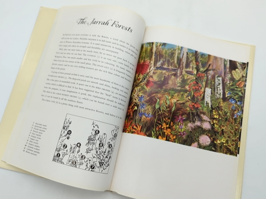 The Shell Guide To Australian Wildflowers by Malcolm Mcgregor Dennis Adams by Malcolm Mcgregor Dennis Adams