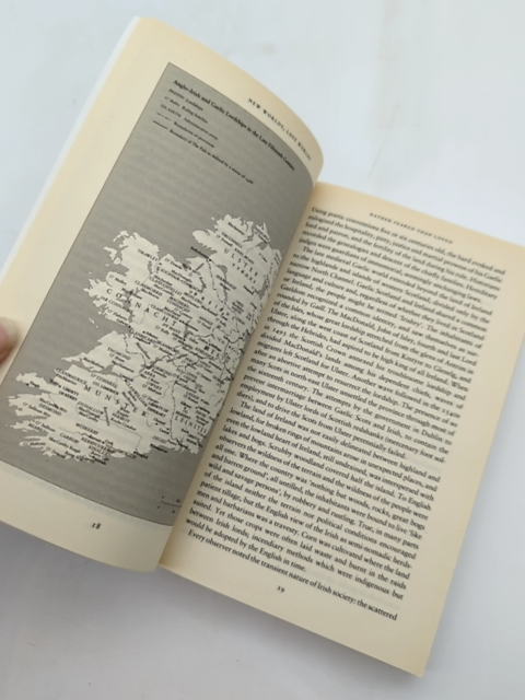 New Worlds, Lost Worlds: The Rule of the Tudors, 1485-1603 by Susan Brigden by Susan Brigden