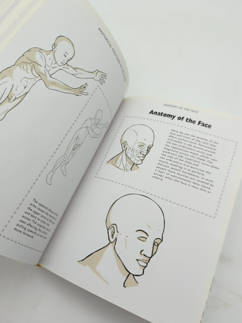 The Anatomy Figure Drawing Artist's Handbook by Viv Foster, Anatomy by Viv Foster