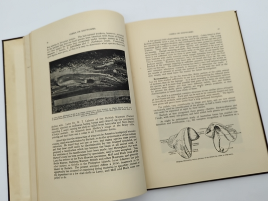 Destruction Of Timber By Marine Organisms In The Port Of Sydney, 1932 History by Tom Iredale
