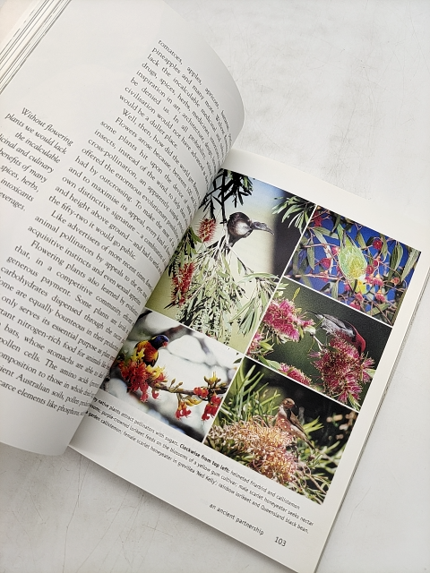 The Australian Bird-garden: Creating Havens For Native Birds by Graham Pizzey by Graham Pizzey