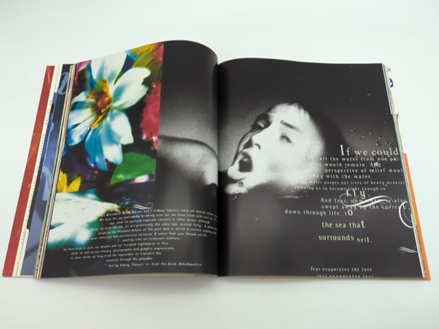David Carson : 2ndsight Grafik Design After the End of Print, Lewis Blackwell by Lewis Blackwell