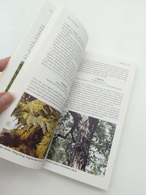 Gardener's Companion To What Tree Is That? by Stirling Macoboy, Botany by Stirling Macaboy