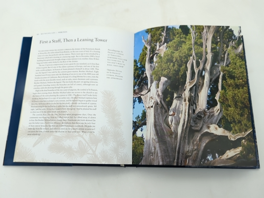 Remarkable Trees Of The World by Thomas Pakenham (Hardcover, 2003) Botany by Thomas Pakenham