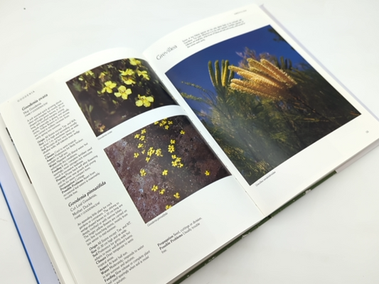 Allan Seale's Garden Companion Guide To Native Plants by Allan Seale, Gardening by Allan Seale