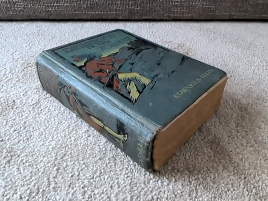 Deerfoot In The Forest by Edward S Ellis (Hardcover, 1905) Americana by Edward S Ellis