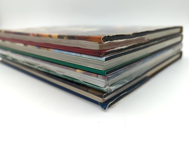 4x Masters Art Books: Michelangelo; Tintoretto; Antoine Wattean; Pieter Bruegel by Koneman