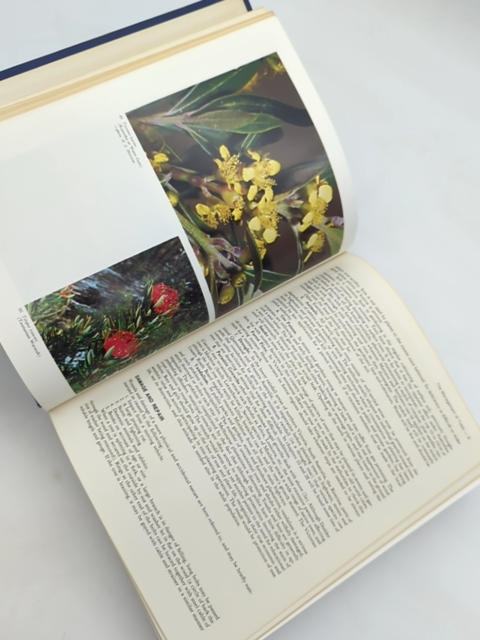 Shrubs And Trees For Australian Gardens by Ernest E Lord, Gardening by Ernest E Lord