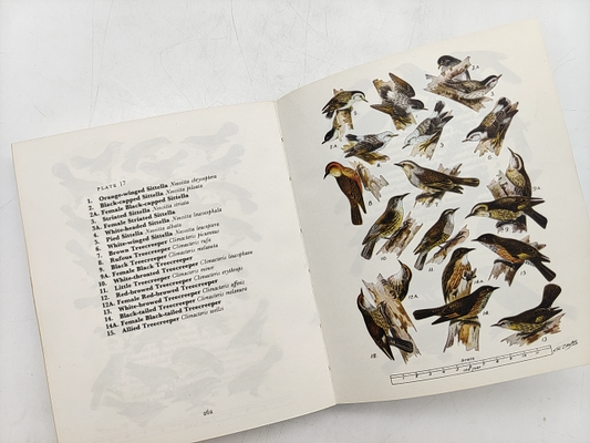 What Bird Is That? Cayley's Classic Guide To The Birds Of Australia, Paperback by Neville W. Cayley