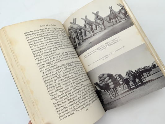 Camels And The Outback by H M Barker (Hardcover, 1964) by H M Barker