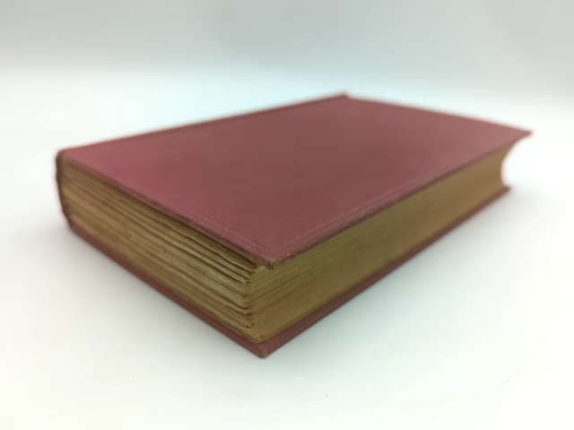 The New World of the South by W H Fitchett (Hardcover, 1913) by W H Fitchett