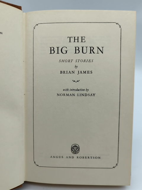 The Big Burn: Short Stories by Brian James (Hardcover, 1965) 1st Edition Vintage by Brian James