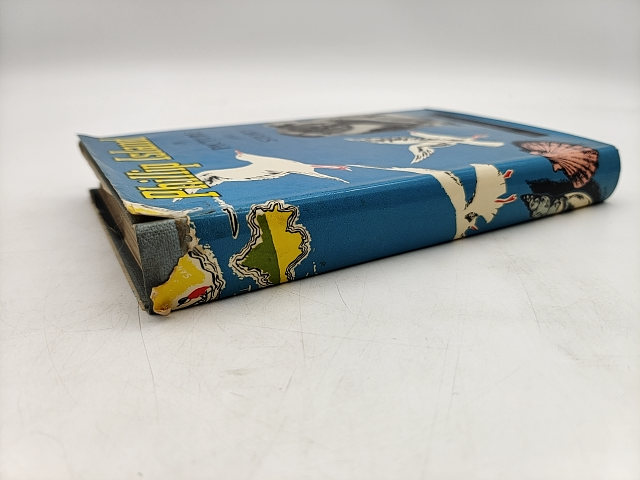 Phillip Island in Picture and Story by Joshua Wickett Gliddon (Hardcover, 1968) by Joshua Wickett Gliddon
