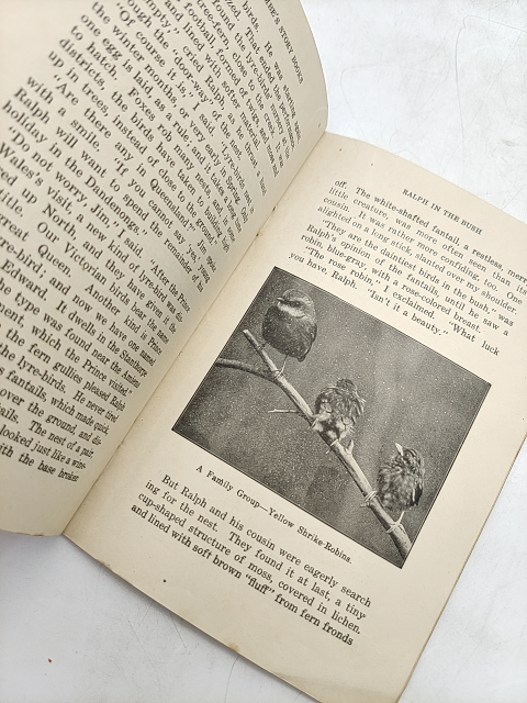 Ralph in the Bush by Charles Barrett (Softcover, 1921) Vintage Children's Book by Charles Barrett