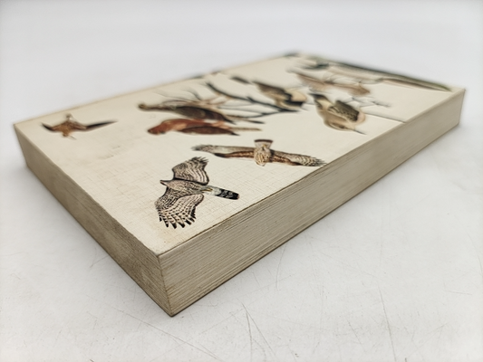 The Hamlyn Guide To Birds Of Britain And Europe; by Bertel Bruun, Birdwatching by Bertel Bruun