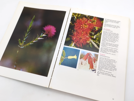 What Wildflower Is That? by Alec M. Blombery (Paperback, 1978) Botany by Alec M. Blombery