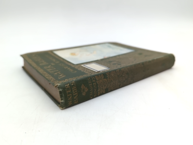 The Water Babies by Charles Kingsley (Hardcover, 1915) Children's by Charles Kingsley
