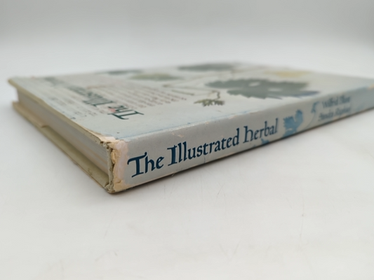 The Illustrated Herbal by Sandra Raphael & Wilfrid Blunt, Withchcraft Mandrake by "Sandra Raphael Wilfrid Blunt"