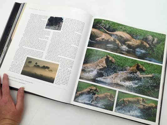 African Safari: Into The Great Game Reserves by Peter and Beverly Pickford by Peter And Beverly Pickford