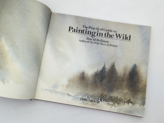 The Practical Guide To Painting In The Wild by David Bellamy, Art Instruction by David Bellamy