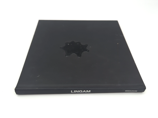 Lingam: Fertility Now by Gaspar Mallol (Hardcover, 2010) 1st Edition 3897903253 by Ruudt Peters, Mònica Gaspar Mallol