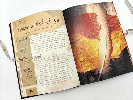 The Book Of Spells: Over 40 Secret Recipes To Get Your Own Way In Love, Work, An by Nicola De Pulford