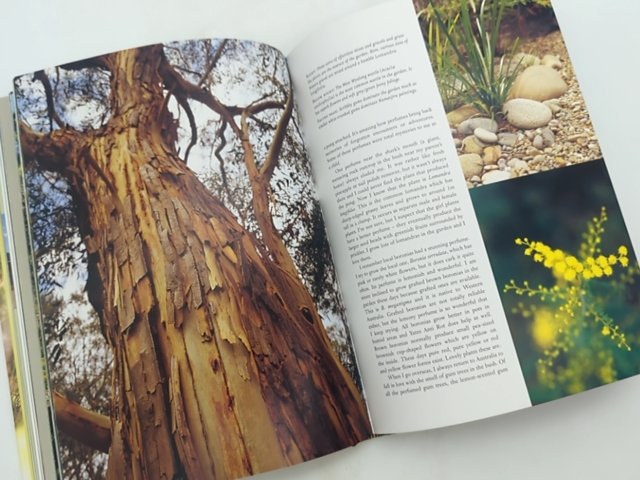 Indigenous: The Making Of My Native Garden by Don Burke, Gardening by Don Burke