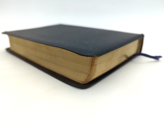 The Holy Bible by National Council of Churches of Christ (Leather, 1996) by National Council Of Churches Of Christ