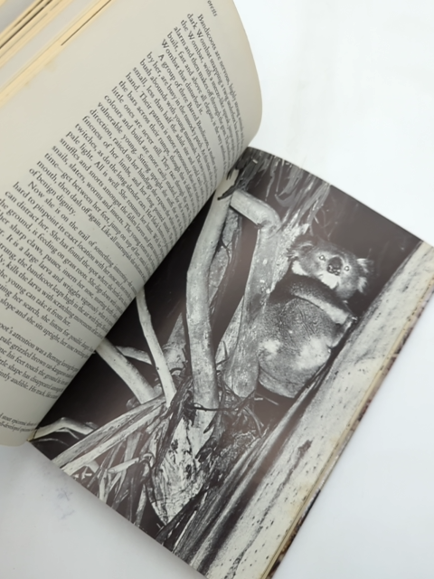 Wildlife Of Eastern Australia by Stanley Breeden, Wildlife Illustrated by Stanley Breeden
