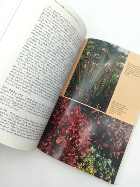 Grasses, Bamboos And Related Plants In Australia by Nick Romanowski, Botany by Nick Romanowski