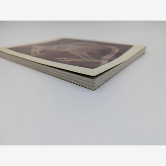 Aboriginal Australia, Australian Gallery Directors Council, Book, 1981 1st Ed by Australian Gallery Directors Council — photo 2