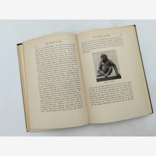 Apes and Men by Herbert John Fleure Harold Peake (Cloth, 1927) 1st Edition by Herbert John Fleure Harold Peake — photo 2