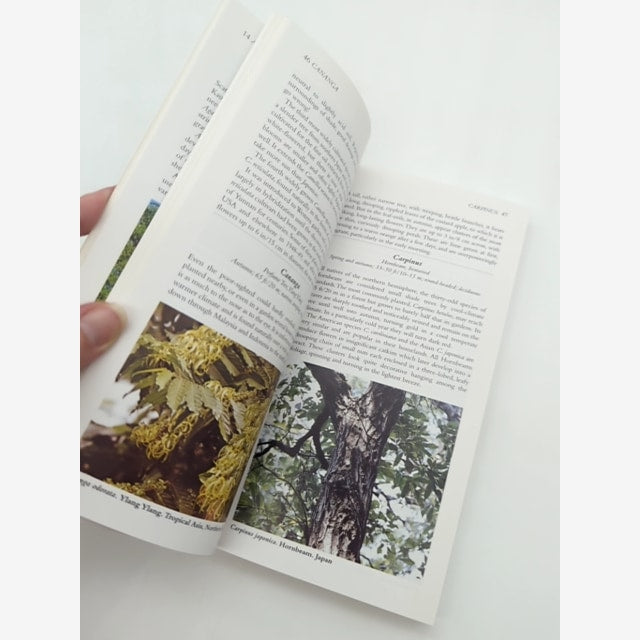 Gardener's Companion To What Tree Is That? by Stirling Macoboy, Botany — photo 6
