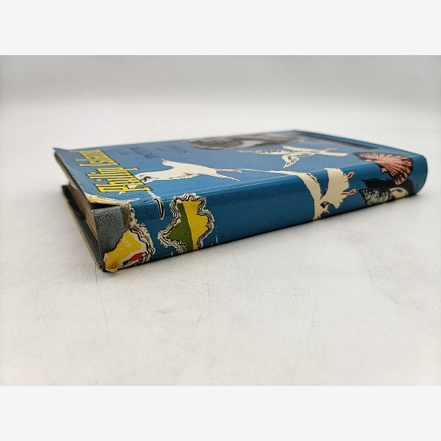 Phillip Island in Picture and Story by Joshua Wickett Gliddon (Hardcover, 1968) by Joshua Wickett Gliddon — photo 6