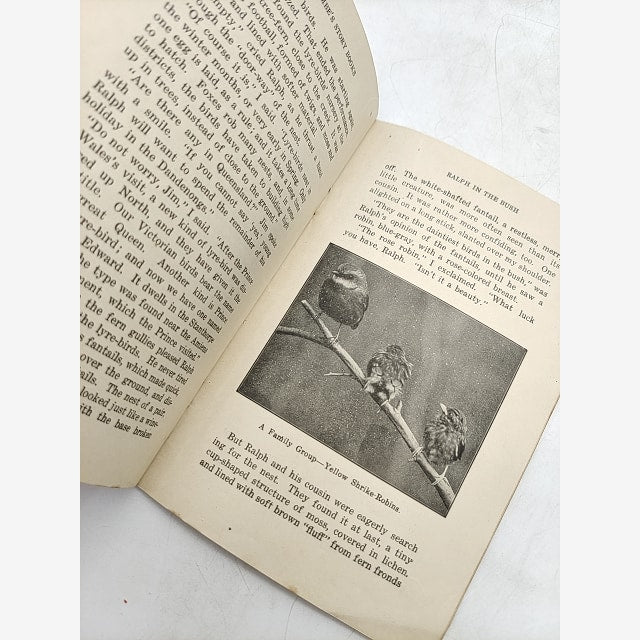 Ralph in the Bush by Charles Barrett (Softcover, 1921) Vintage Children's Book by Charles Barrett — photo 6