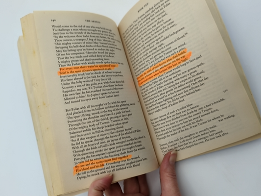 The Aeneid by Virgil (Paperback, 2013) Classical Literature — photo 2
