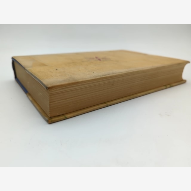 The Great South Land by Rex Ingamells (Hardcover, 1951) Exploration & Travel by Rex Ingamells — photo 6