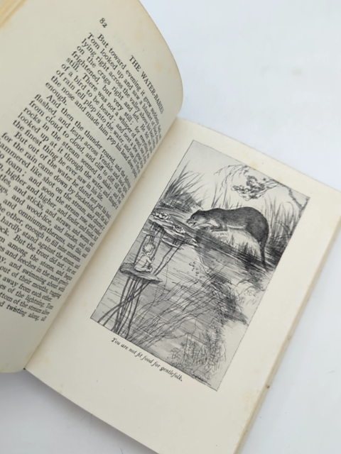 The Water Babies by Charles Kingsley (Hardcover, 1960) Illustrated by Charles Kingsley — photo 2