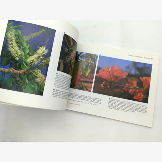 Wildflowers Of Kakadu: Guide To The Wildflowers Of Kakadu National Park And The — photo 2