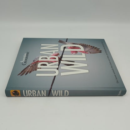 Urban Wild: Aussie Animals Sharing Our Spaces Australian Geographic Large  Book by Australian Geographic