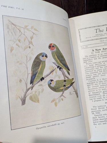 The Emu: Royal Australasian Ornithologists' Union, 1913-1994, Rare Bird Books by Royal Australasian Ornithologists' Union