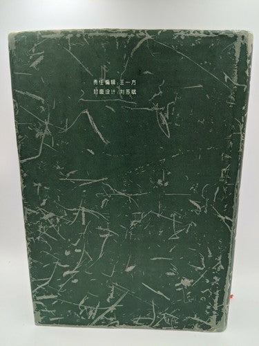 English-Chinese Chinese-English Dictionary of Chinese Medicine, Nigel Wiseman HC by Nigel Wisema