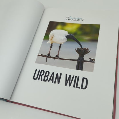 Urban Wild: Aussie Animals Sharing Our Spaces Australian Geographic Large  Book by Australian Geographic