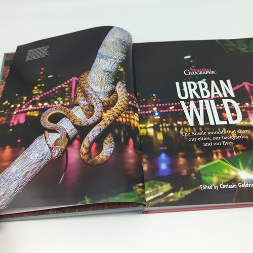 Urban Wild: Aussie Animals Sharing Our Spaces Australian Geographic Large  Book by Australian Geographic