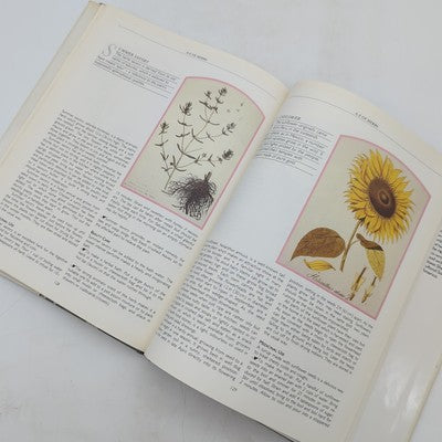 The Illustrated Herbal by Philippa Black | Coffee Table Hardcover Book by Philippa Black