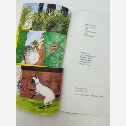 3x Lynley Dodd Paperback Bundle Hariy Maclary from Donaldson's Dairy Scattercat by Lynley Dodd — photo 4