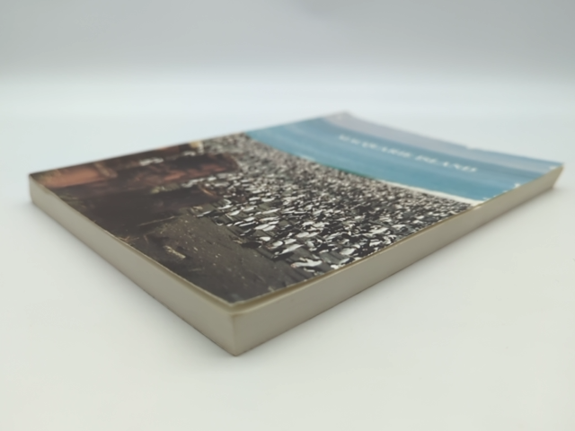 Proceedings of the Symposium on Macquarie Island, Held At the University of Tasm by Maxwell R. Banks
