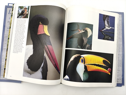 Lords Of The Air The Smithsonian Book Of Birds by Eugene S. Morton & Jake Page by Smithsonian Institution Staff