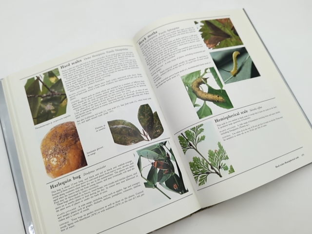 What Garden Pest Or Disease Is That? Every Garden Problem Solved, Judy. McMaugh by Judy. Mcmaugh