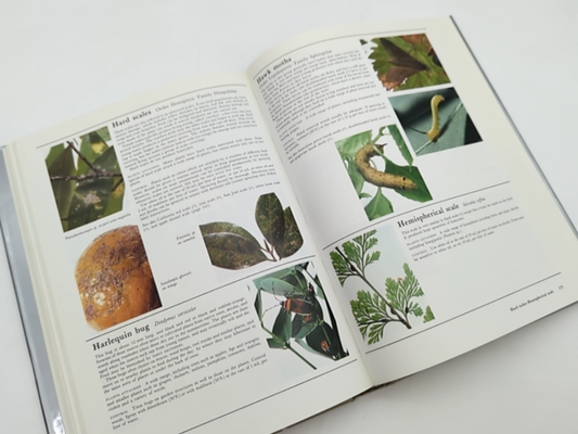 What Garden Pest Or Disease Is That? Every Garden Problem Solved, Judy. McMaugh by Judy. Mcmaugh